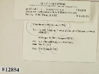 登錄號:F0012854藏品圖，第2張