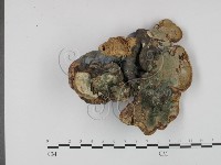 登錄號:F0012854藏品圖，第3張