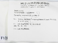 血紅密孔菌藏品圖，第2張