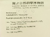 松生擬層孔菌藏品圖，第2張