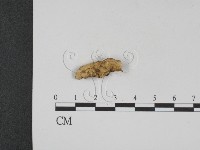登錄號:F0012857藏品圖，第1張