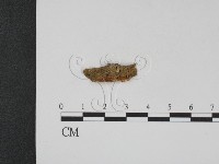 登錄號:F0012857藏品圖，第3張