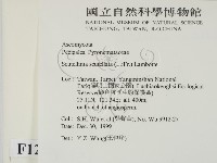 登錄號:F0012858藏品圖，第2張