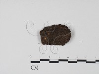 登錄號:F0012858藏品圖，第1張