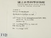 登錄號:F0012859藏品圖，第2張
