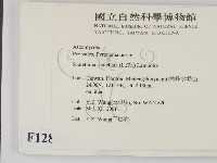 登錄號:F0012860藏品圖，第2張