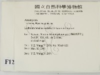 登錄號:F0012861藏品圖，第2張