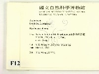 登錄號:F0012862藏品圖，第2張
