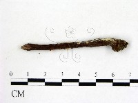 登錄號:F0012862藏品圖，第3張