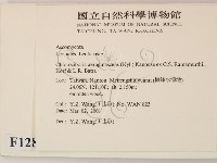 登錄號:F0012863藏品圖，第2張