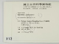 登錄號:F0012866藏品圖，第2張