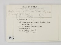 登錄號:F0012867藏品圖，第2張