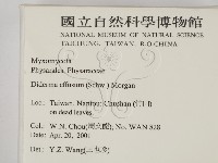 登錄號:F0012868藏品圖，第2張
