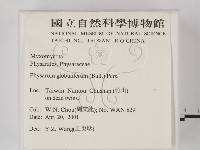 登錄號:F0012869藏品圖，第2張