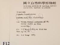 登錄號:F0012870藏品圖，第2張