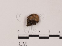 登錄號:F0012870藏品圖，第1張