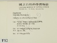 登錄號:F0012871藏品圖，第2張