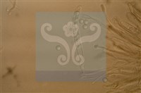 Accession Number:F0012872 Collection Image, Figure 5, Total 11 Figures