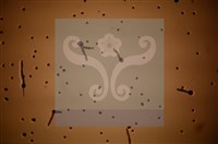 Accession Number:F0012872 Collection Image, Figure 7, Total 11 Figures