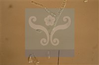 Accession Number:F0012872 Collection Image, Figure 11, Total 11 Figures