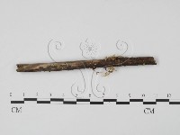 登錄號:F0012873藏品圖，第1張