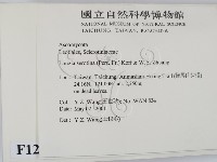 登錄號:F0012874藏品圖，第2張