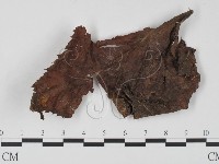 登錄號:F0012874藏品圖，第1張