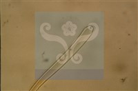 登錄號:F0012874藏品圖，第4張