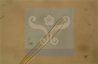 登錄號:F0012874藏品圖，第6張