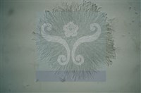 登錄號:F0012874藏品圖，第7張