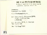 登錄號:F0012875藏品圖，第2張
