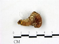 登錄號:F0012875藏品圖，第1張
