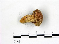 登錄號:F0012875藏品圖，第3張