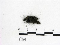 登錄號:F0012877藏品圖，第3張