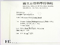 登錄號:F0012878藏品圖，第2張