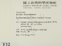 登錄號:F0012880藏品圖，第2張