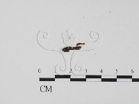 登錄號:F0012880藏品圖，第1張