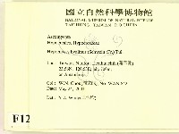 登錄號:F0012882藏品圖，第2張