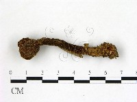 登錄號:F0012882藏品圖，第3張