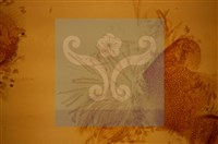 登錄號:F0012882藏品圖，第4張