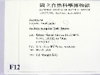 登錄號:F0012883藏品圖，第2張