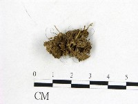 登錄號:F0012883藏品圖，第1張