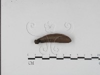 登錄號:F0012885藏品圖，第1張