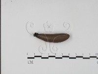 登錄號:F0012885藏品圖，第3張