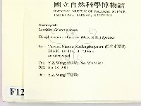 登錄號:F0012886藏品圖，第2張