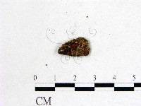 登錄號:F0012886藏品圖，第1張
