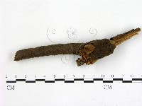 登錄號:F0012888藏品圖，第1張