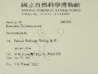 登錄號:F0012889藏品圖，第2張