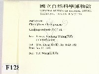 登錄號:F0012891藏品圖，第2張