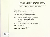 登錄號:F0012893藏品圖，第2張